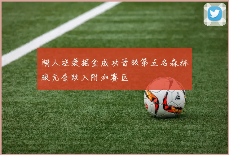 湖人逆袭掘金成功晋级第五名森林狼无奈跌入附加赛区